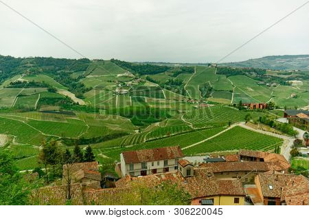 Serralunga di Alba vineyards, home of Barolo wines, at spring