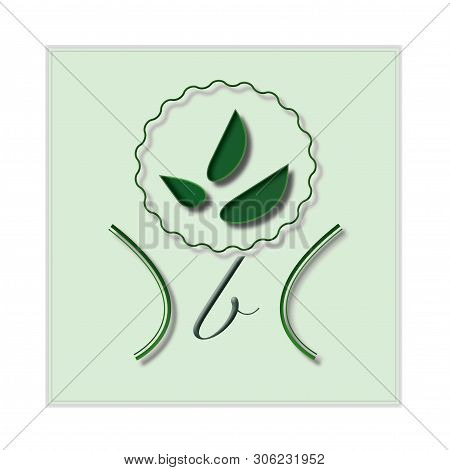 The Beautiful Green Logo Design Of Natural Company