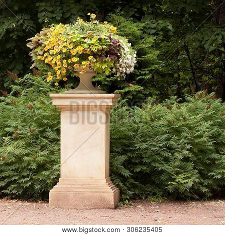 Well-kept Beautiful Summer Park With Trees, Shrubs And A Flower Bed With Flowers