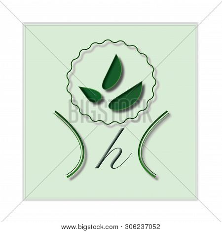The Beautiful Green Logo Design Of Natural Company