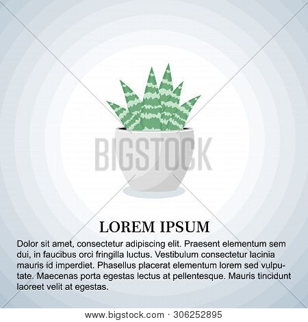 Vector Illustration. Card With Cactus On Grey Cicrcles Background