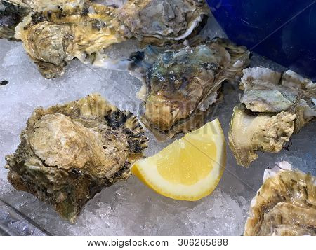 Fresh Oysters Chilled On Ice With Lemon And Short Depth Of Field