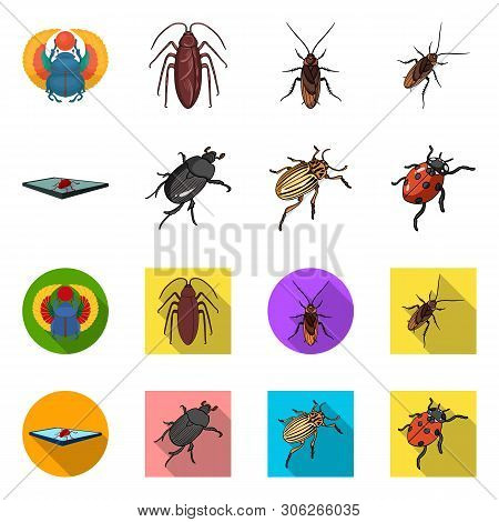 Vector Design Of Insect And Beetle Symbol. Set Of Insect And Halloween Vector Icon For Stock.