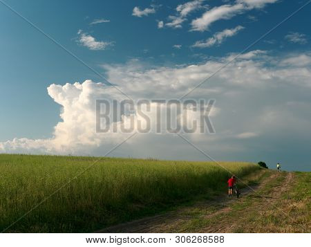 A Child On A Bicycle. Beautiful White Clouds In The Sky Float Above The Field.