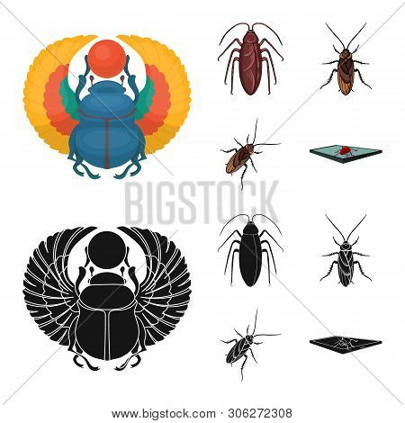 Vector Illustration Of Insect And Beetle Symbol. Set Of Insect And Halloween Vector Icon For Stock.