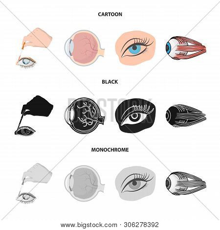 Vector Illustration Of Medical And Eyeball Sign. Set Of Medical And Optical Stock Vector Illustratio