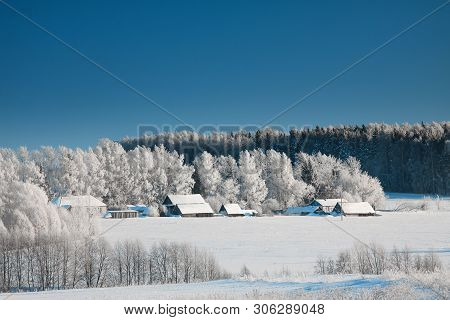 Rural Landscape In Winter Sunny Frosty Day