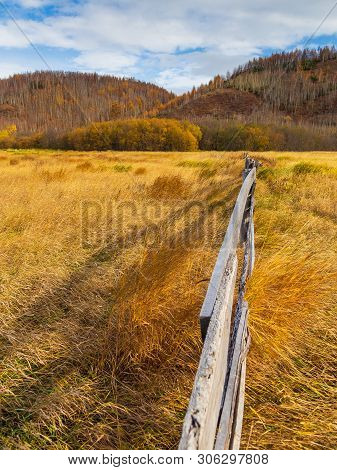 View Of The Mountain, Forest In Autumn Colors. Wooden Fence Among Tall Grass. Anavgay, Bystrinsky Di
