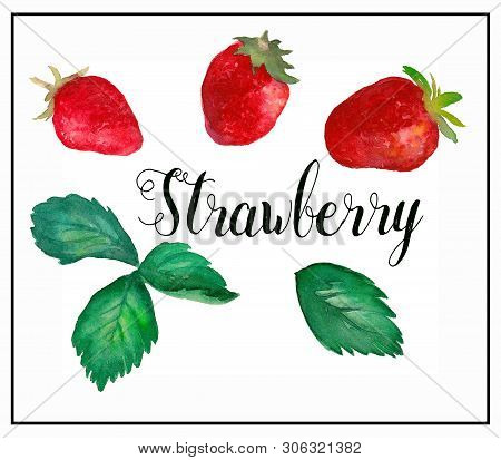 Strawberry Set. Amazing Watercolor Art. Hand Painted Illustration