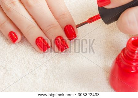 Girl Paints Her Nails Red Nail Polish. Beauty Salon. Manicured Hand On White Towel And Red Bottle Ge