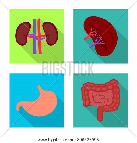 Vector Illustration Of Human And Health Symbol. Collection Of Human And Scientific Stock Symbol For 