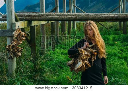Girl In Black Dress With Bundle Of Dried Fish Heads, Lofoten Islands, Norway