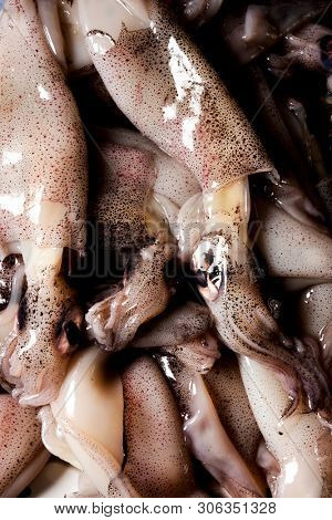 closeup some raw cuttlefishes, on sale in a fish market