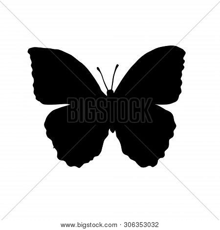 Vector Flat Black Silhouette Logo Icon Of Butterfly Butter Fly Isolated On White Background