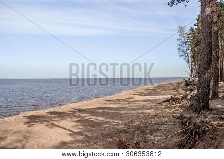 The Gulf Of Finland . Summer Sea In Clear Windless Weather. Sea Without Waves.