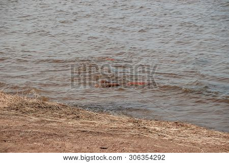 The Gulf Of Finland . Summer Sea In Clear Windless Weather. Sea Without Waves.