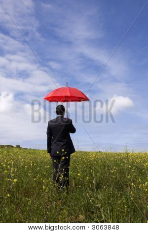 Parapluie