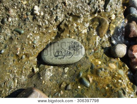 Hand Drawn Stone In The Black Sea Water