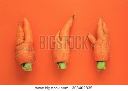 Ugly Food. Deformed Organic Carrots On Pastel Background In Green And Orange Duoton. Bright Contrast
