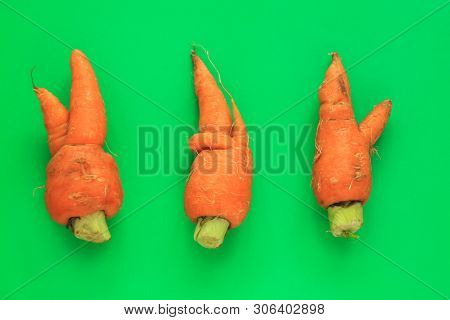 Ugly Food. Deformed Organic Carrots On Pastel Background In Green And Orange Duoton. Bright Contrast