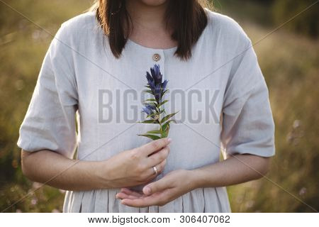 Stylish Girl In Rustic Dress Holding Wildflower In Hand, Standing In Sunny Meadow In Mountains.boho 