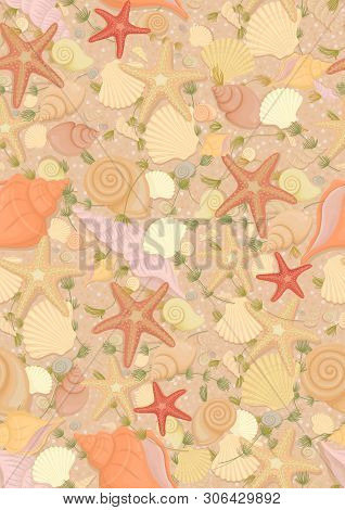 Seamless Pattern With Seashells. Vector Pattern Summer Starfish Seashells Seaweed On Sandy Backgroun