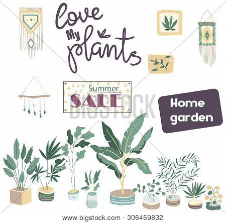 House Plants. Flowerpot Isolated Objects, Houseplant Flower Pot Collection. Home Garden Clip Art Ill