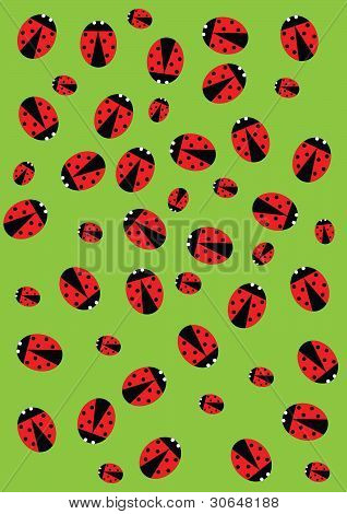 Ladybugs