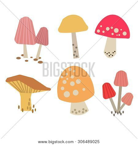 Mushroom Pattern Flat Illustration On White Background. Wildlife And Animals Series.
