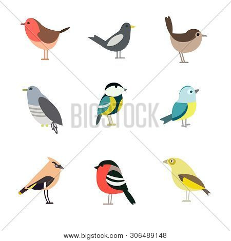 Bird Pattern Flat Illustration On White Background. Wildlife And Animals Series.