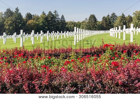 Hamm Near Luxembourg City, Luxembourg - August 22, 2018: American Ww2 Cemetery With Rose Bush And He