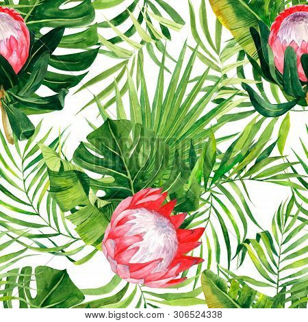 Watercolor Exzotic Print, Leaves Palm And Protea Flowers. Pattern With Tropical Plants Isolated On W