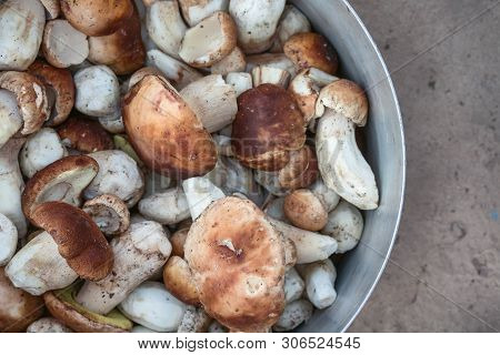 White Mushrooms, Natural Healthy Season Food, Day