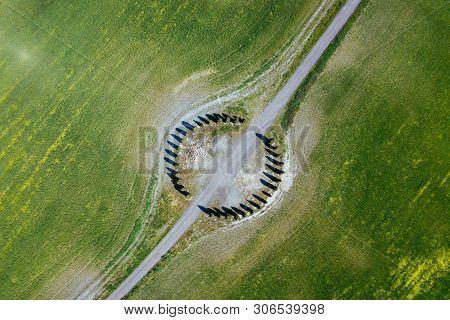 Aerial View Of The Tuscany Cypress Landscape In Springtime