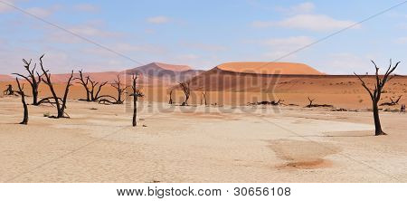 Deadvlei Panorama