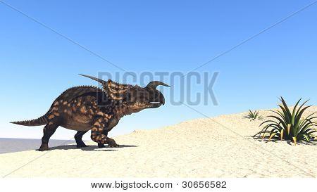 einiosaur en el desierto