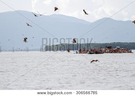 Chantaburi,thailand-june 2,2019:people Look Group Red Eagle In Chantaburi At Thailand