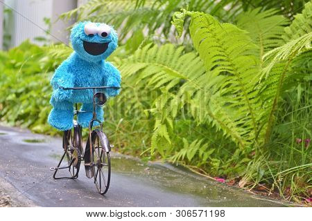 Cherkasy, Ukraine, June 13, 2019 - Toy Cookie Monster Funny Riding A Black Bike On The Path Among Th