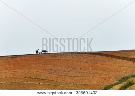 North Korea, Pyongyang - April 30, 2019: Countryside Landscape, Dprk. Peasants Plowing A Field With 