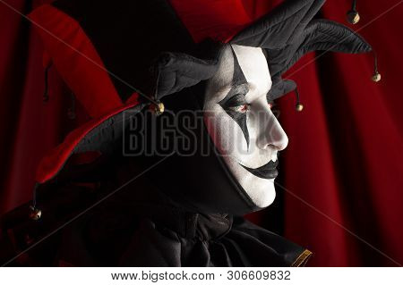 Beautiful Jester Woman Side View Face, Close-up.