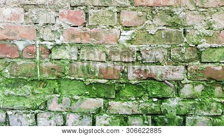 Weathered Old Red Terracotta Brick Wall With Green Moss And Grunge Cement Joints. Brick Textured Bac