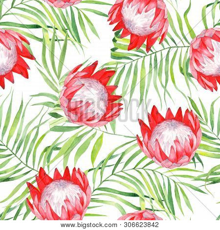 Watercolor Exzotic Print, Leaves Palm And Protea Flowers. Pattern With Tropical Plants Isolated On W