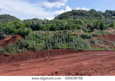 Clay Career