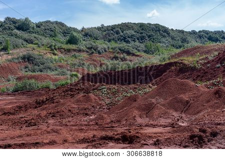 Clay Career