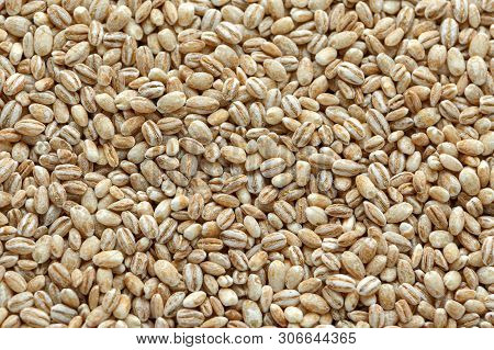 Raw Organic Pearled Barley Grain As Background