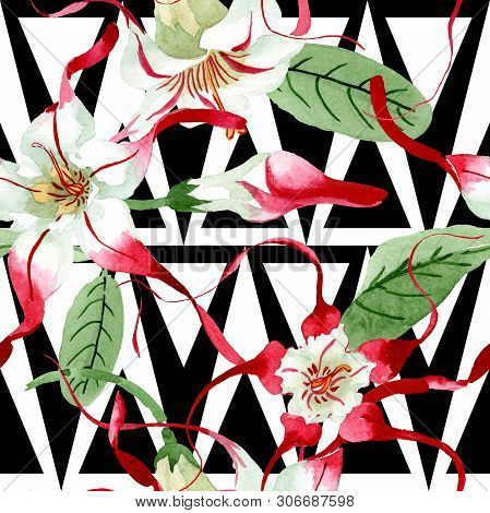 Red White Strophantus Floral Flowers. Watercolor Background Illustration Set. Seamless Background Pa