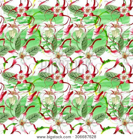 Red White Strophantus Floral Flowers. Watercolor Background Illustration Set. Seamless Background Pa