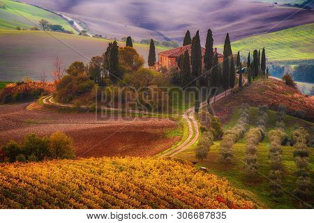 Beautiful Golden Sunrise In Tuscany, Italy With Vineyard. Natural Idillyc Seasonal Autumn Background