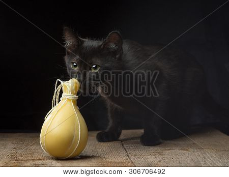 Black Kitten Sniffing Typical Italian Cheese Caciocavallo On A Dark Background.