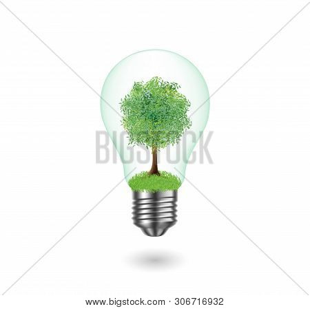 Ecological Bulb. Vector Tree In Bulb On White Background